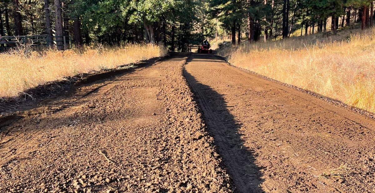 Dirt road with trees and distant tractor